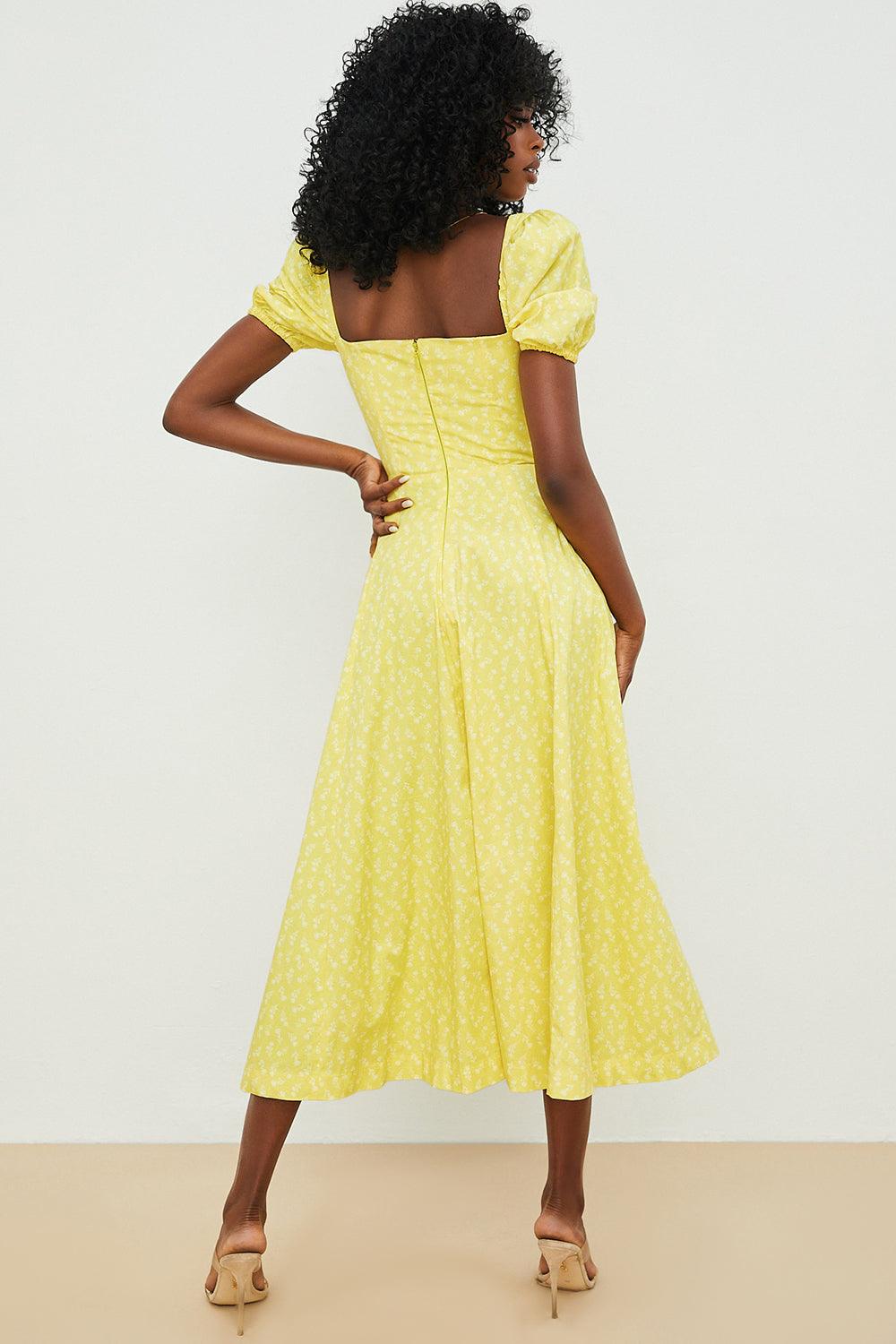 Juliê Bustier Dress
